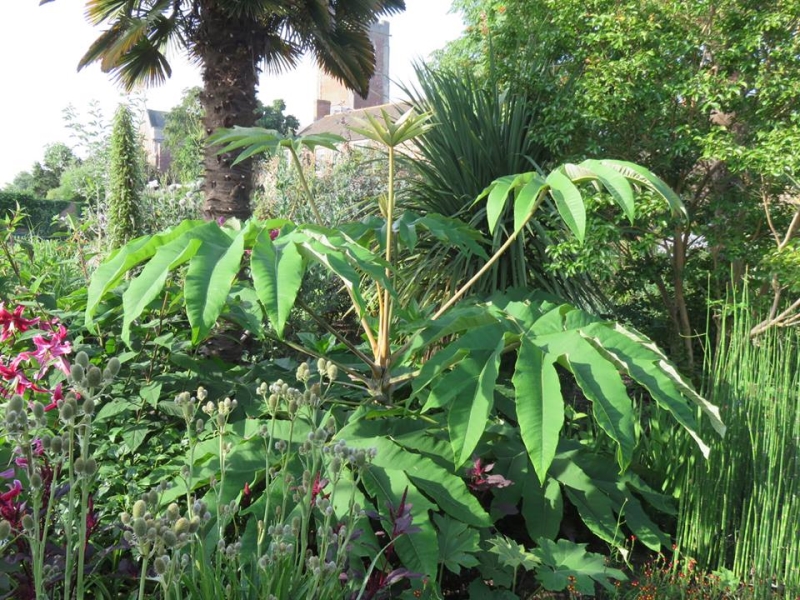 The Walled Gardens of Cannington